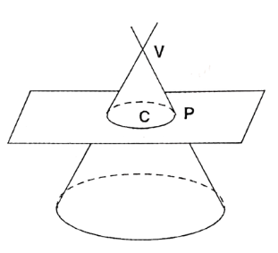 Answer Key For Maths For BSC 2 Semester Chapter 7 The Cone Image 3