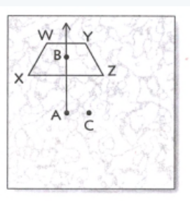 Glencoe Math Course 3 Volume 2 Student 1st Edition Chapter Chapter 6 Transformations Page 450Exercise 3, Problem1
