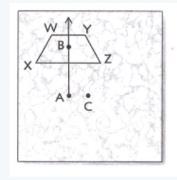Glencoe Math Course 3 Volume 2 Student 1st Edition Chapter Chapter 6 Transformations Page 450Exercise 3, Problem2
