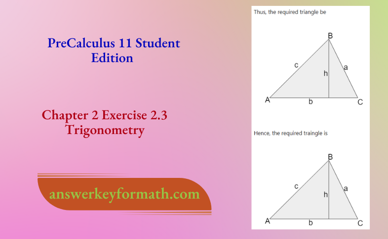 McGraw Hill PreCalculus 11 Student Edition Chapter 2 Exercise 2.3 Trignometry