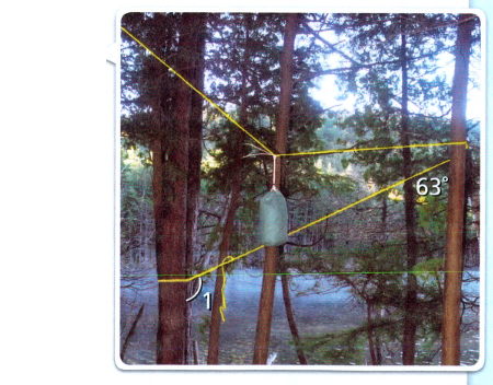 Savvas Learning Co Geometry Student Edition Chapter 3 Parallel And Perpendicular Lines Exercise 3.2 Properties Of Parallel Lines Page 154 Exercise 13 Problem 13 Parallel trees